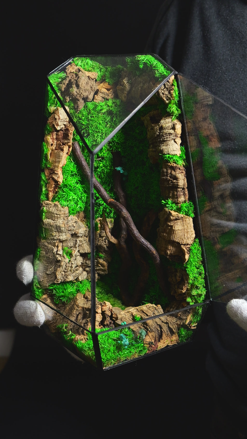 Terrarium con Piante Selezionate – Decorazione Naturale Premium 36