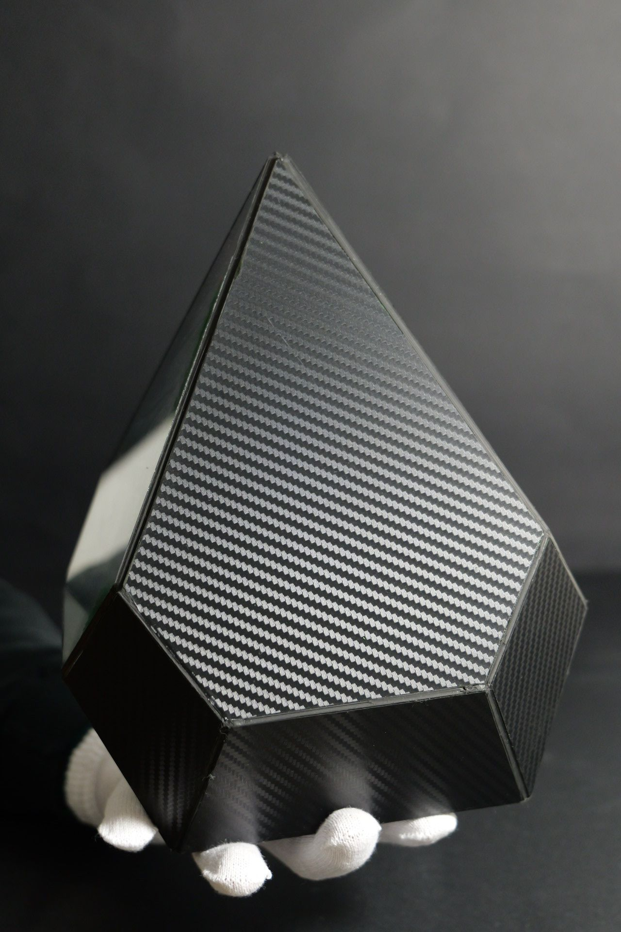 Terrarium 5