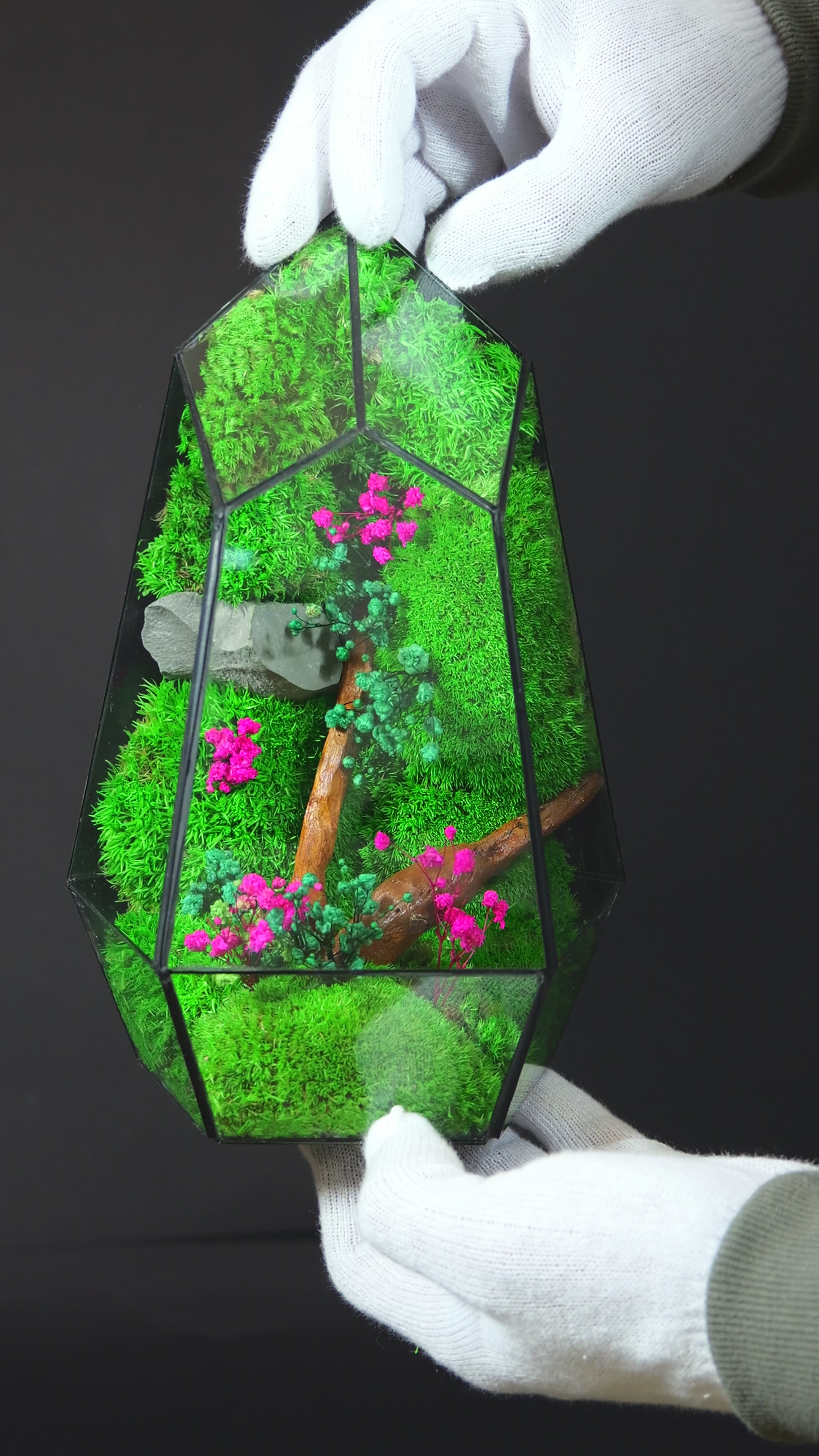 Terrario Decorativo Minimal – Ecosistema Naturale Autosufficiente 25