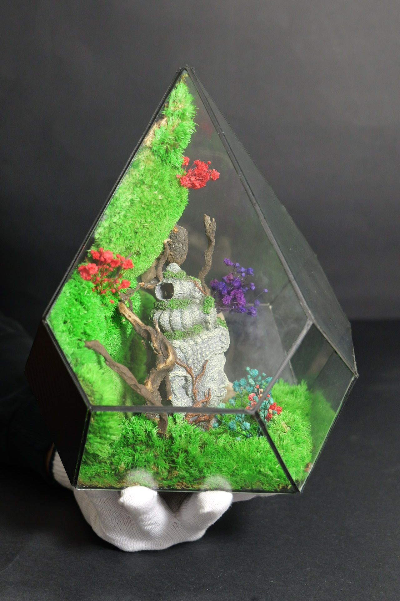 Terrarium 11