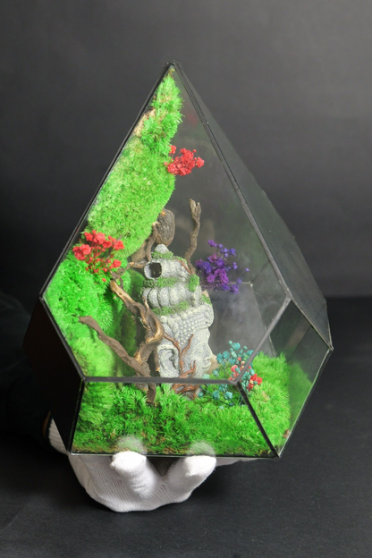 Terrarium 11
