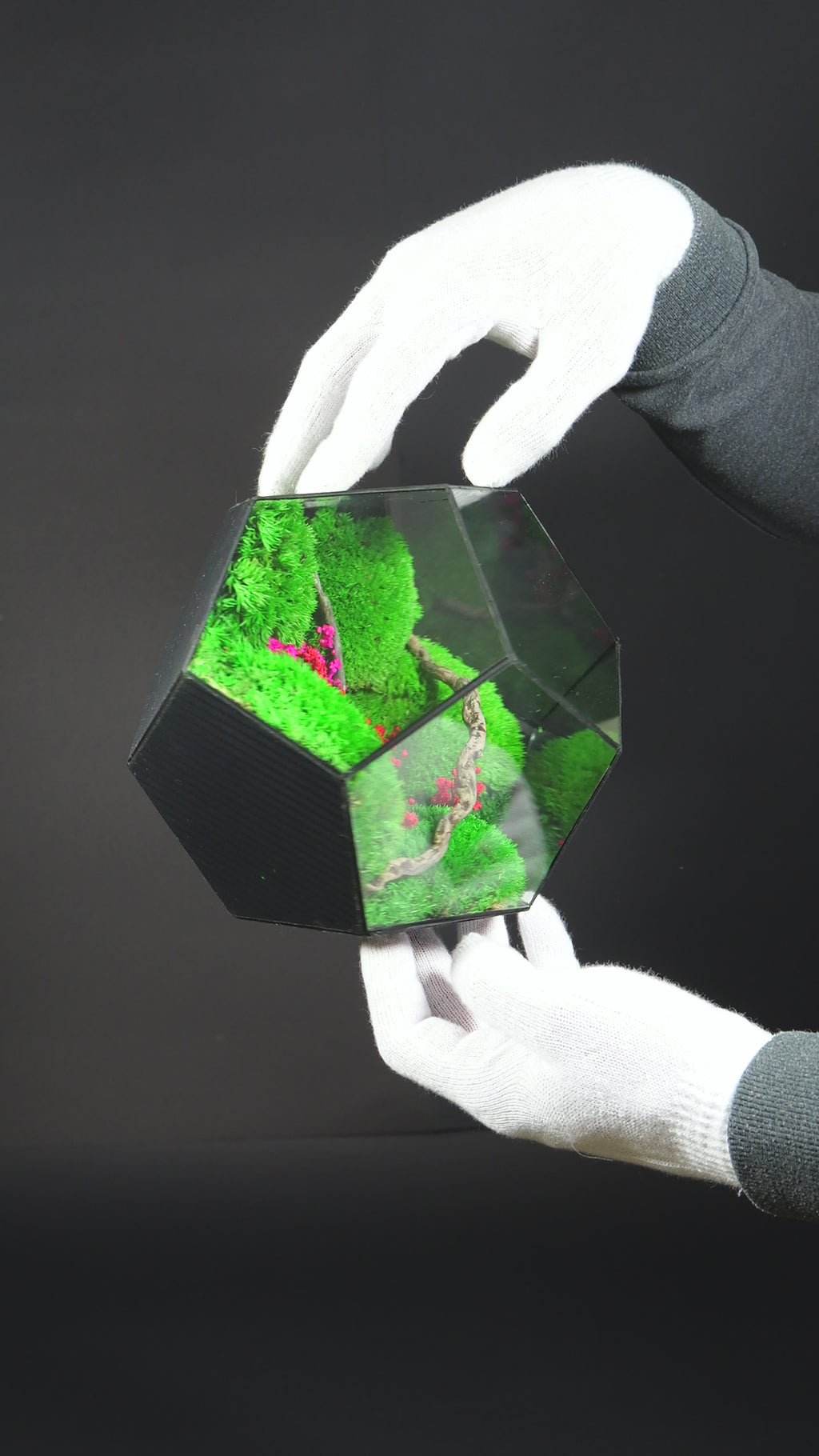 Terrarium Regalo Originale – Giardino in Miniatura in Vetro 31
