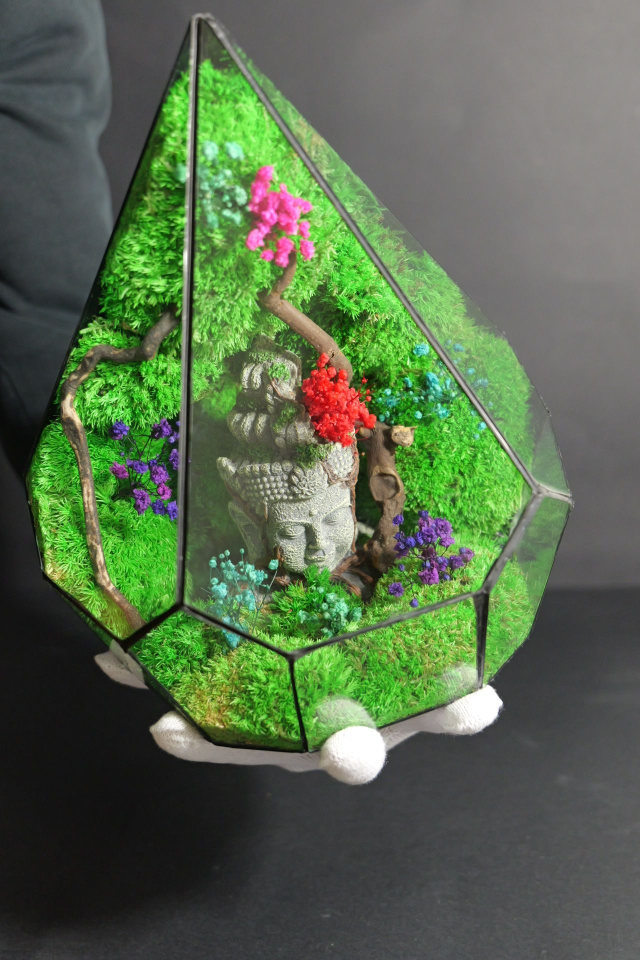 Terrarium 6