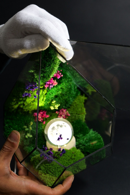 Terrarium 3