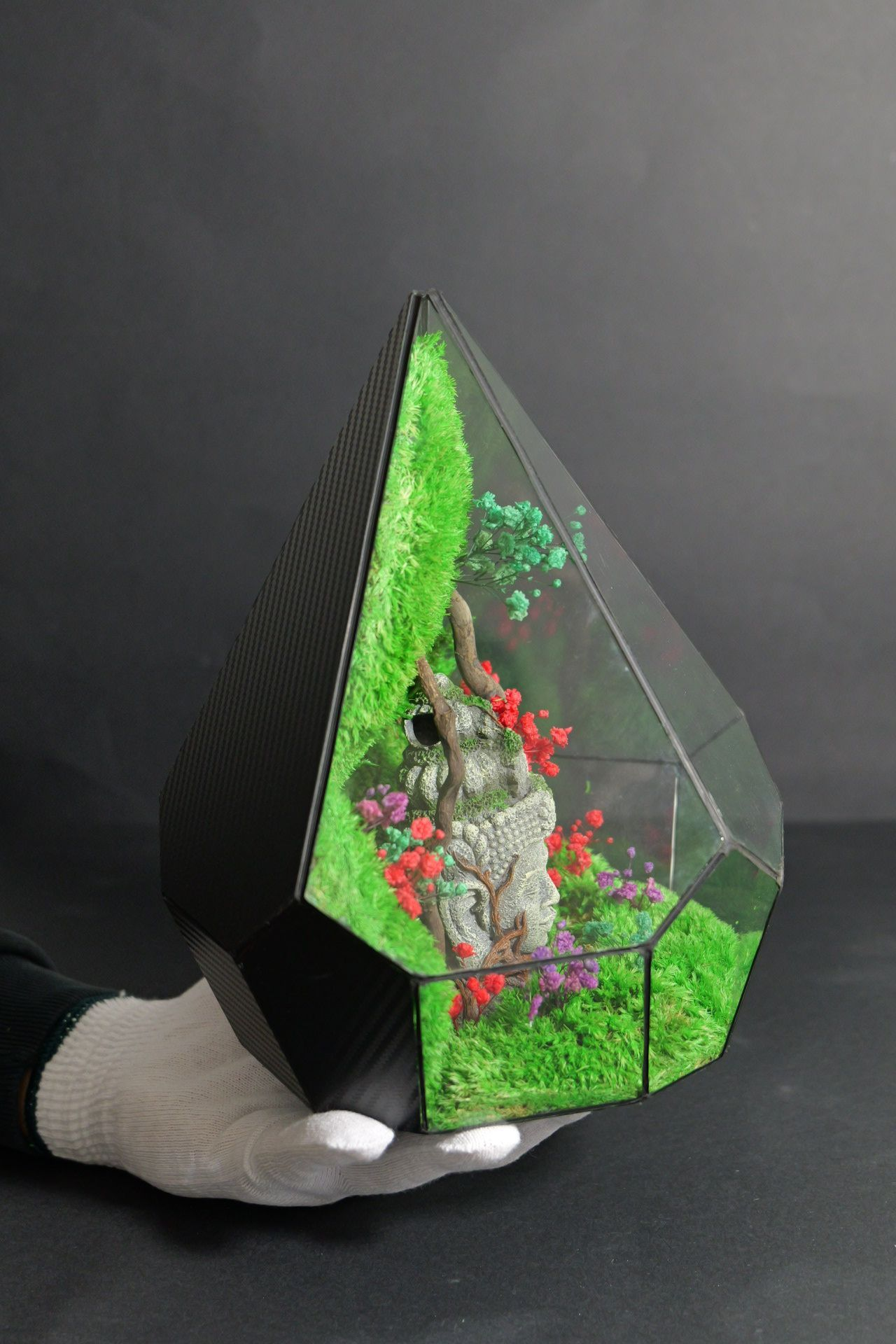 Terrarium 7