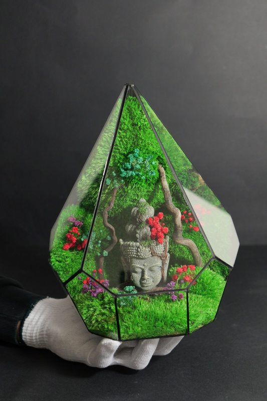 Terrarium 7