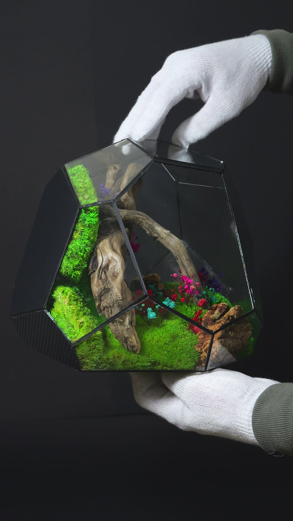 Terrarium ecosistemico autosostenibile decorativo per casa 24