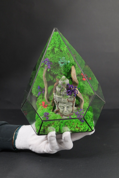 Terrarium 4