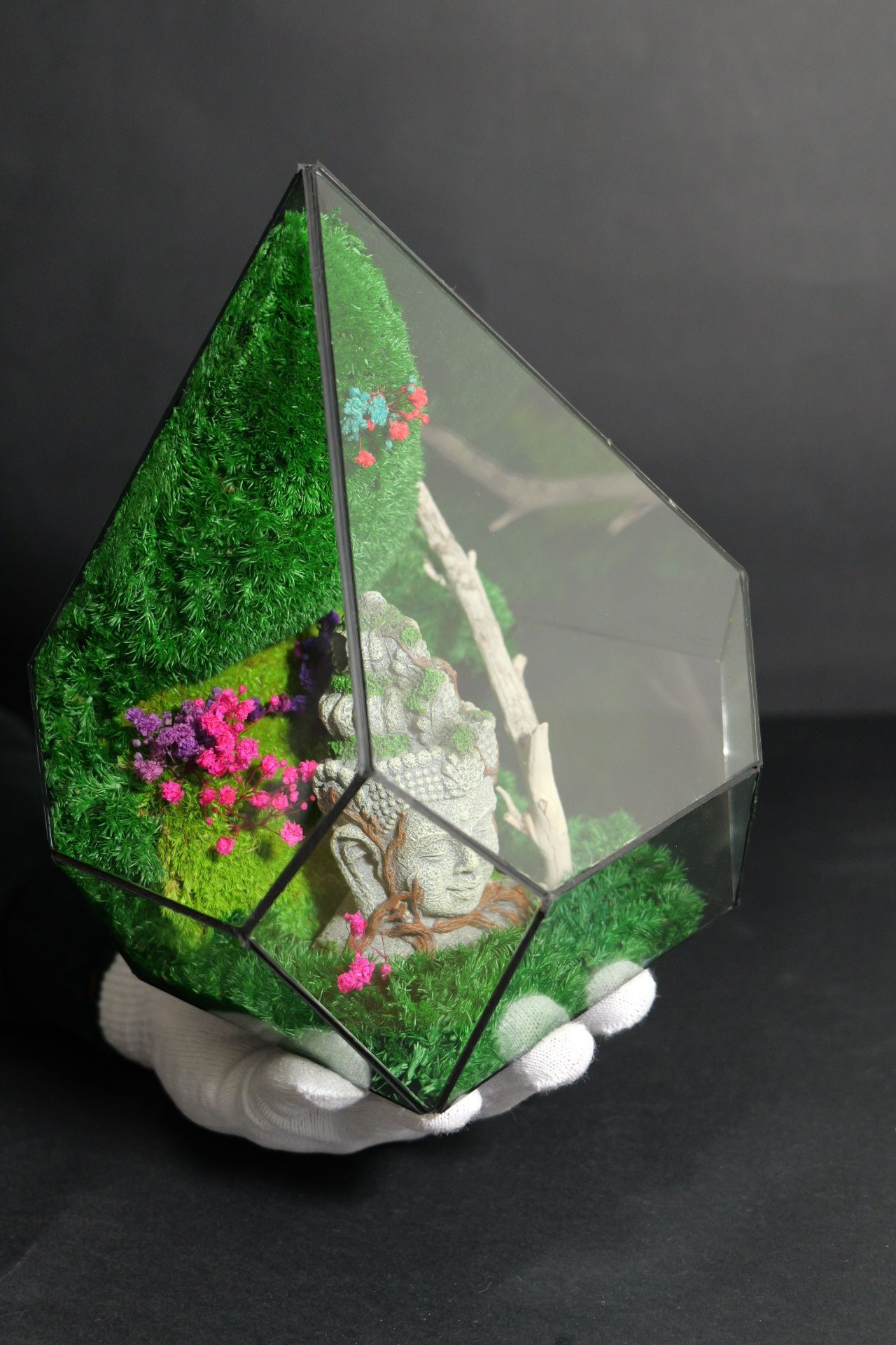 Terrarium 10