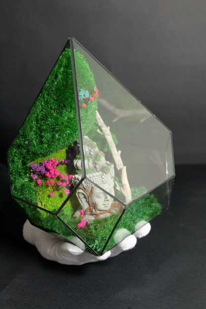 Terrarium 10