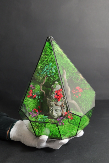Terrarium 7