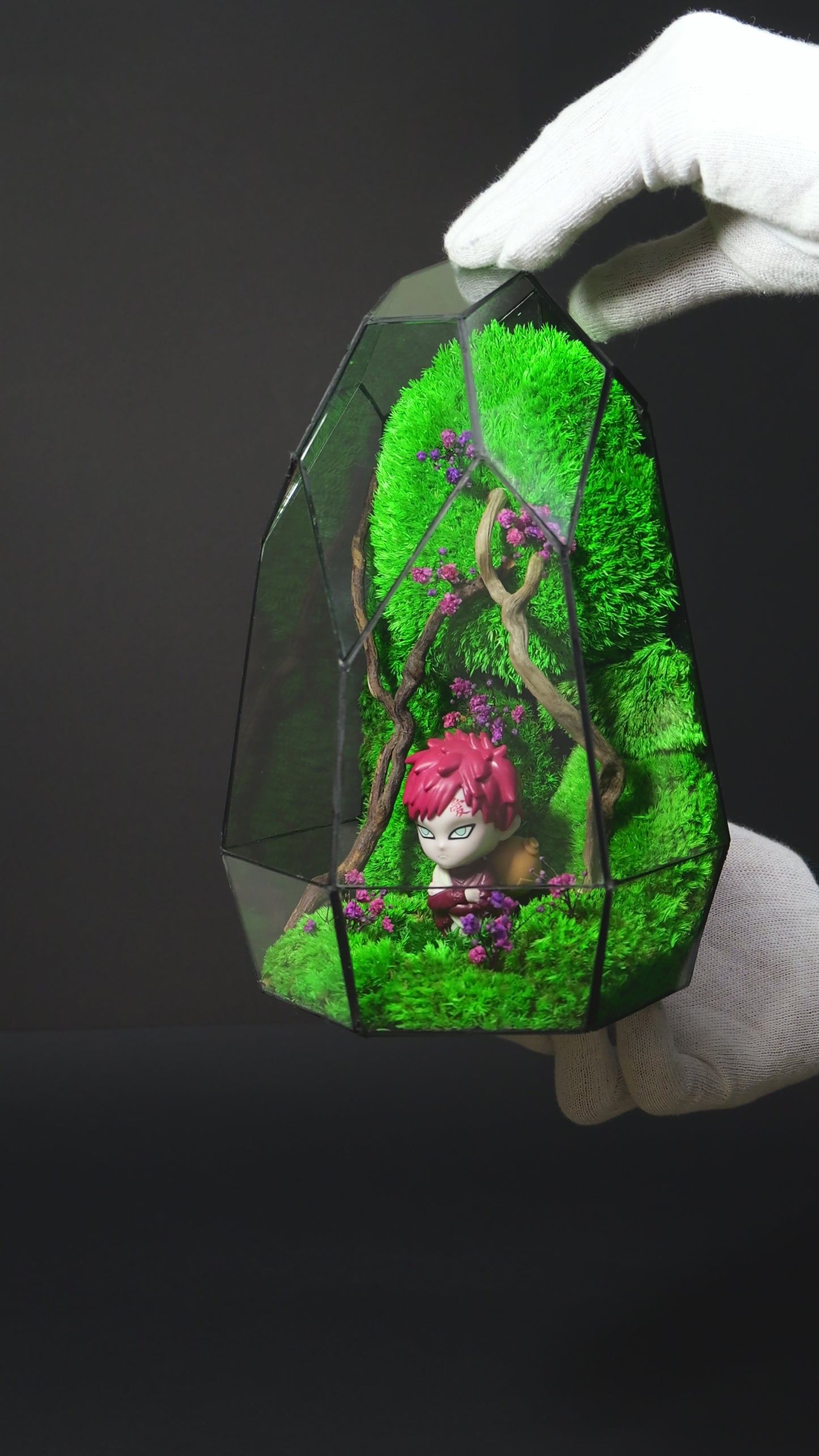 Terrarium 19 "Gaara"