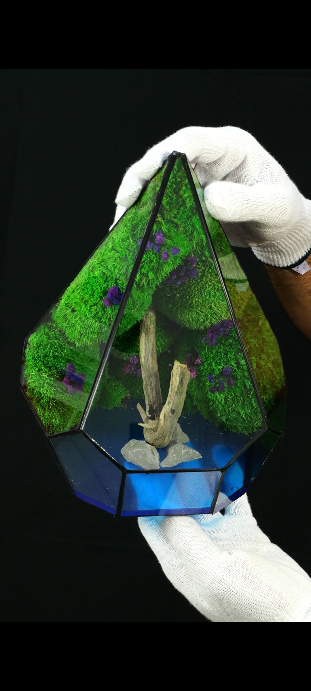 Terrarium fatto a mano lake N°57 Luminescente al buio da scrivania interior design