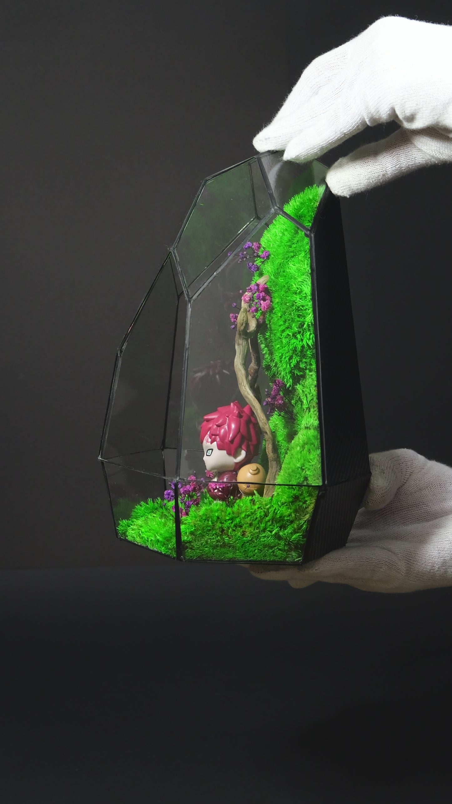 Terrarium 19 "Gaara"