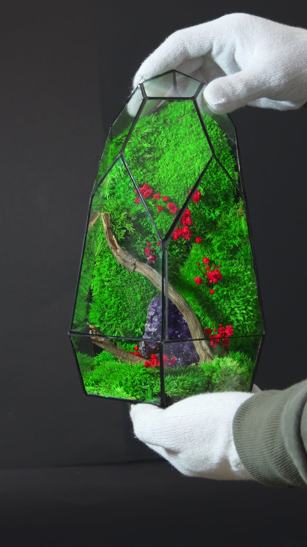 Terrarium Artigianale Premium – Idea Regalo Green Unica 26