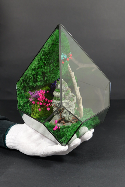 Terrarium 10
