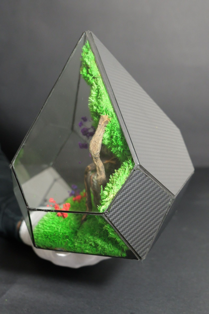 Terrarium 13