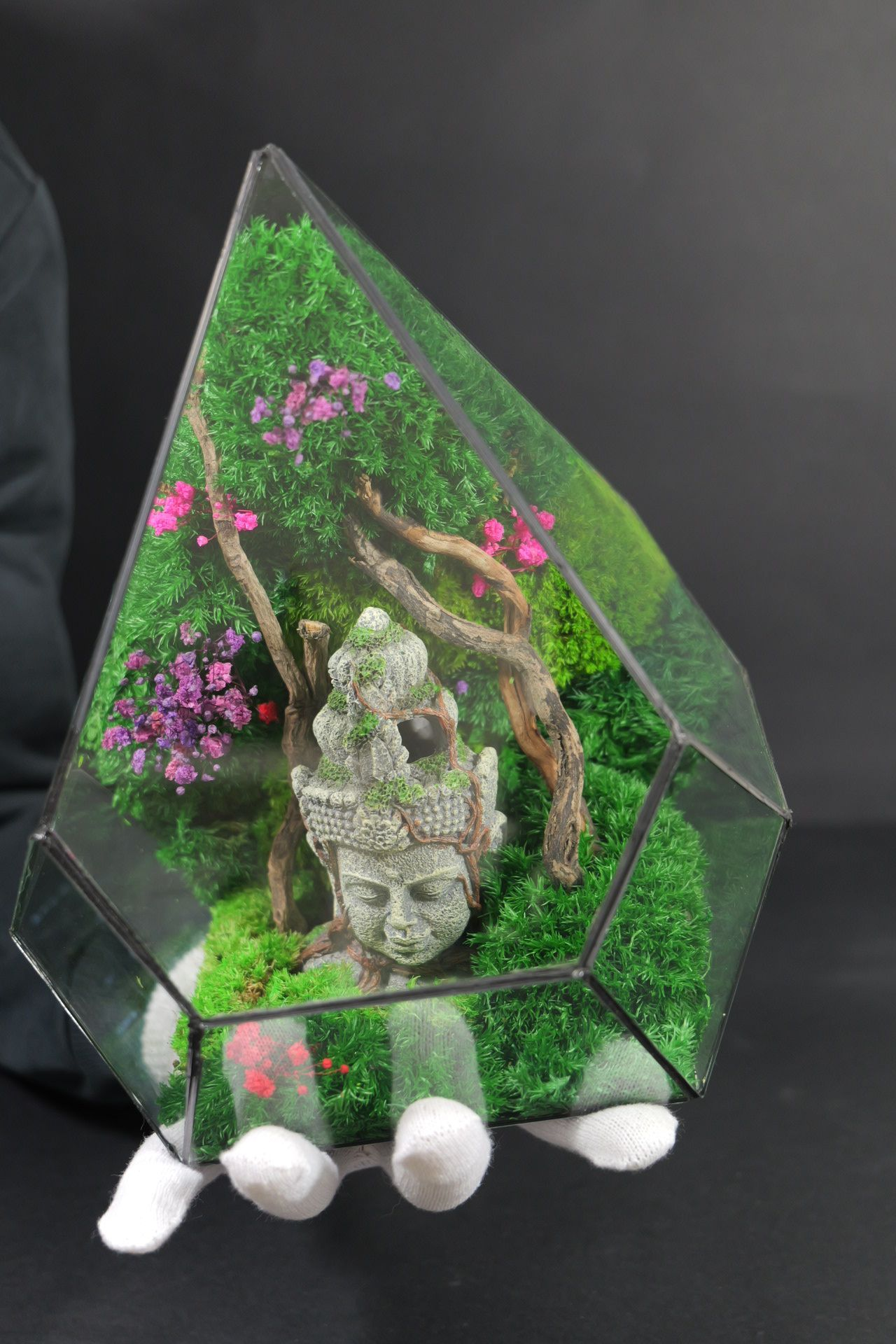 Terrarium 8