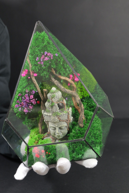 Terrarium 8