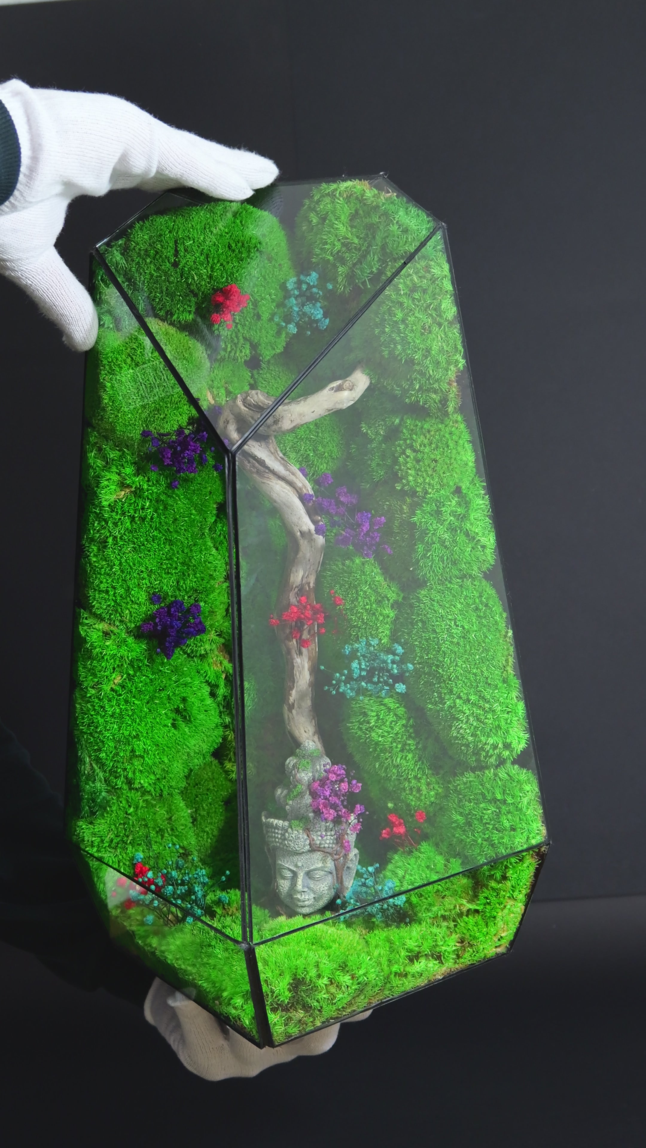 Terrarium con Muschio Stabilizzato – Oggetto Decorativo Green 20