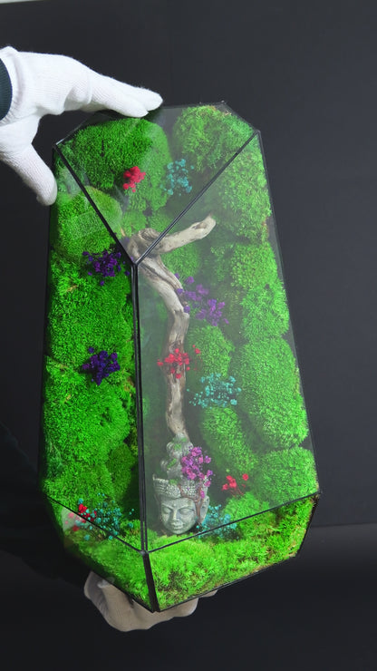 Terrarium 20 GIGANTE