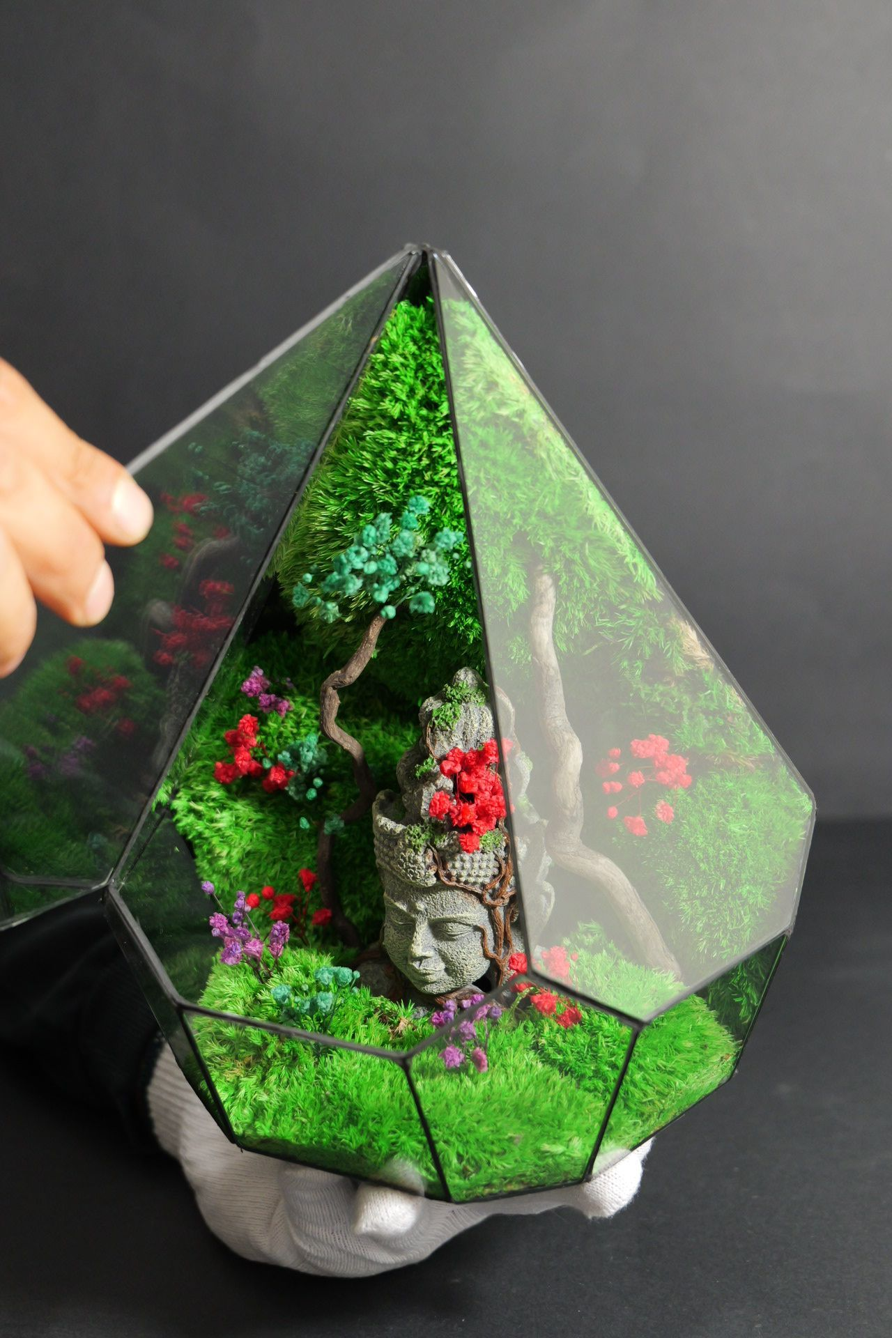 Terrarium 7