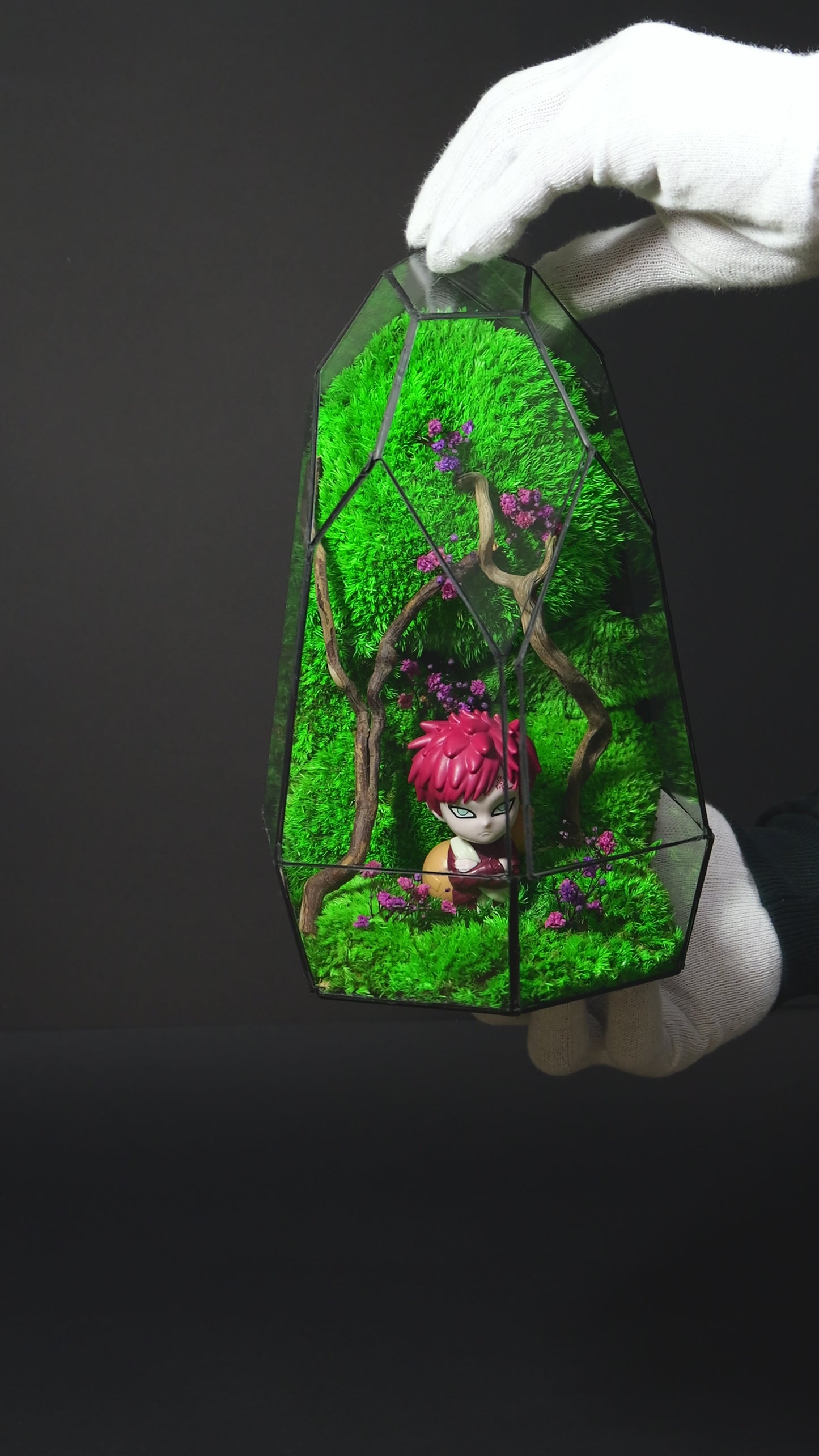 Terrarium 19 "Gaara"