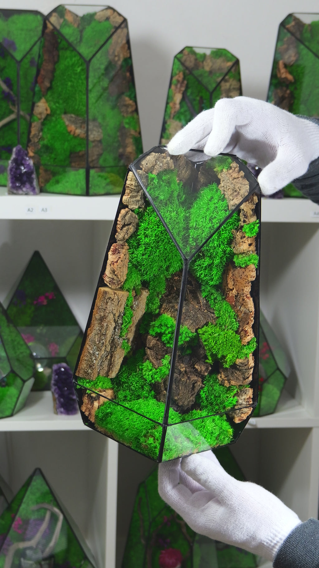 Terrarium Naturale con Muschio Vivo – Arredo Casa Moderno 28