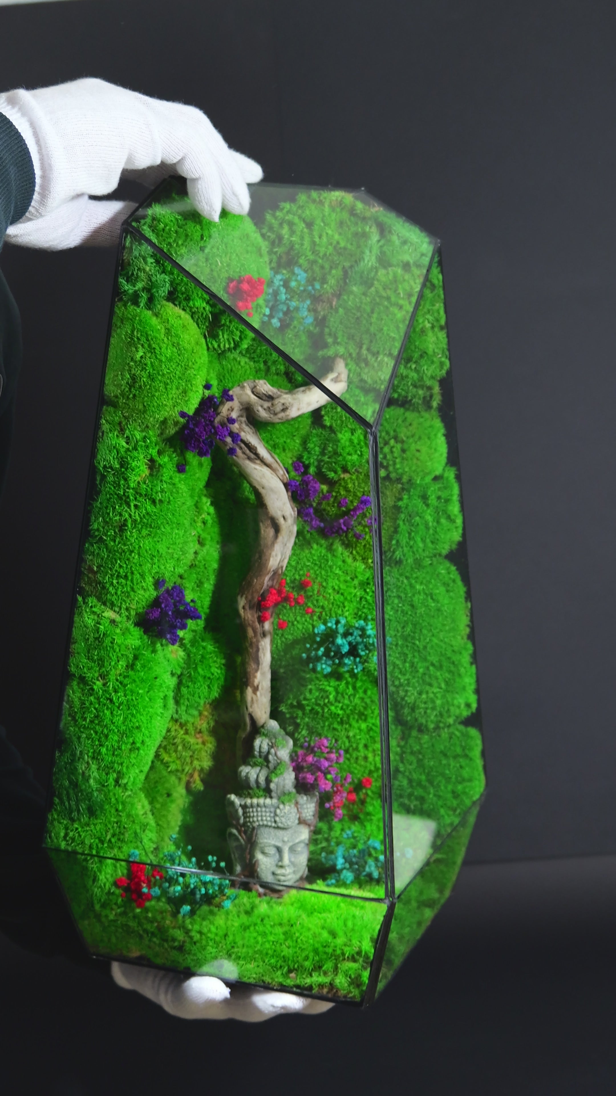 Terrarium con Muschio Stabilizzato – Oggetto Decorativo Green 20