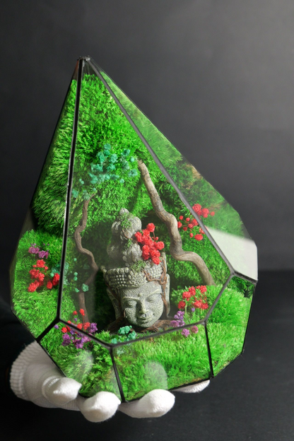 Terrarium 7