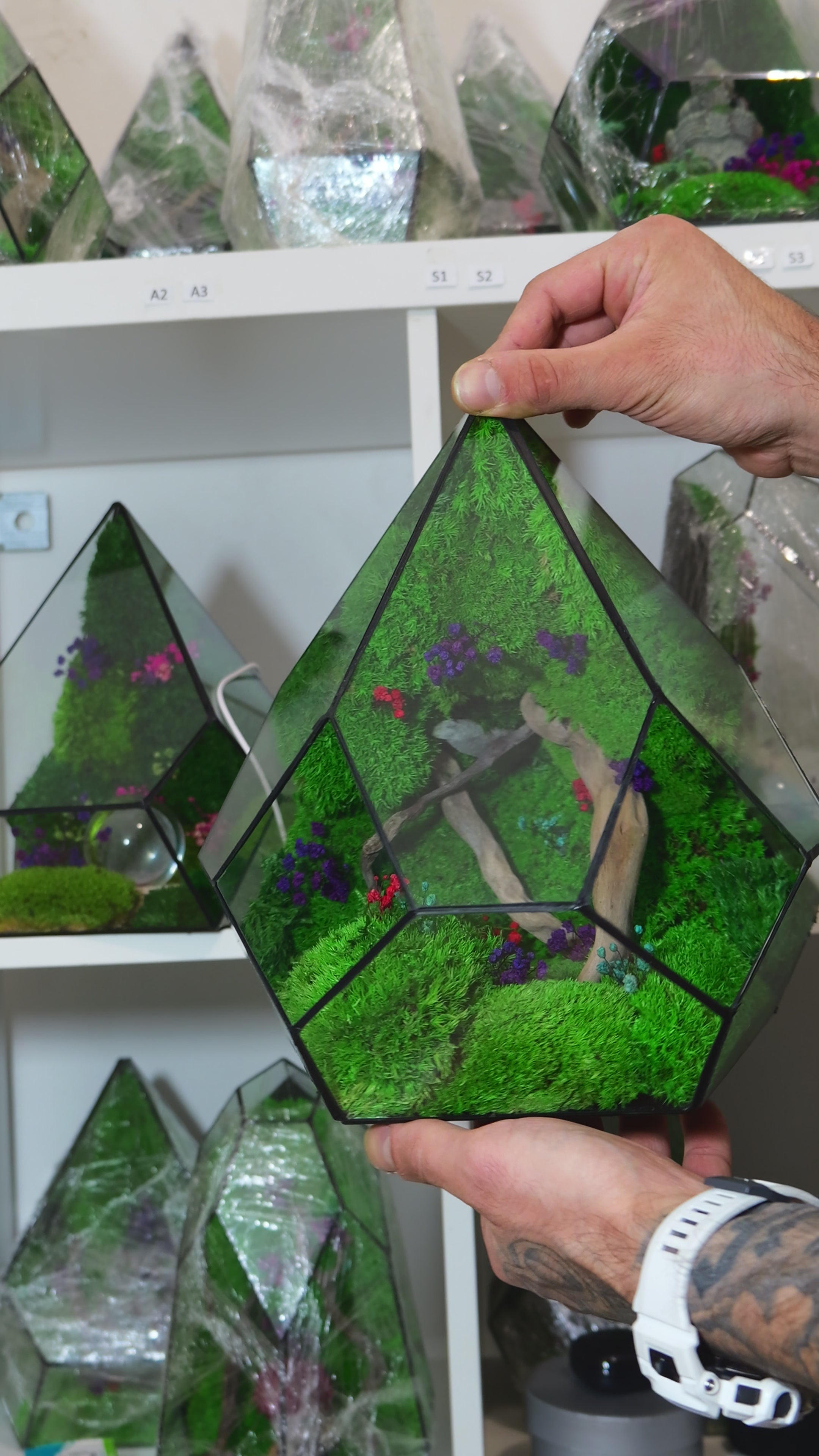 Terrarium Artigianale con Muschio Stabilizzato – Arredo Green Moderno 48