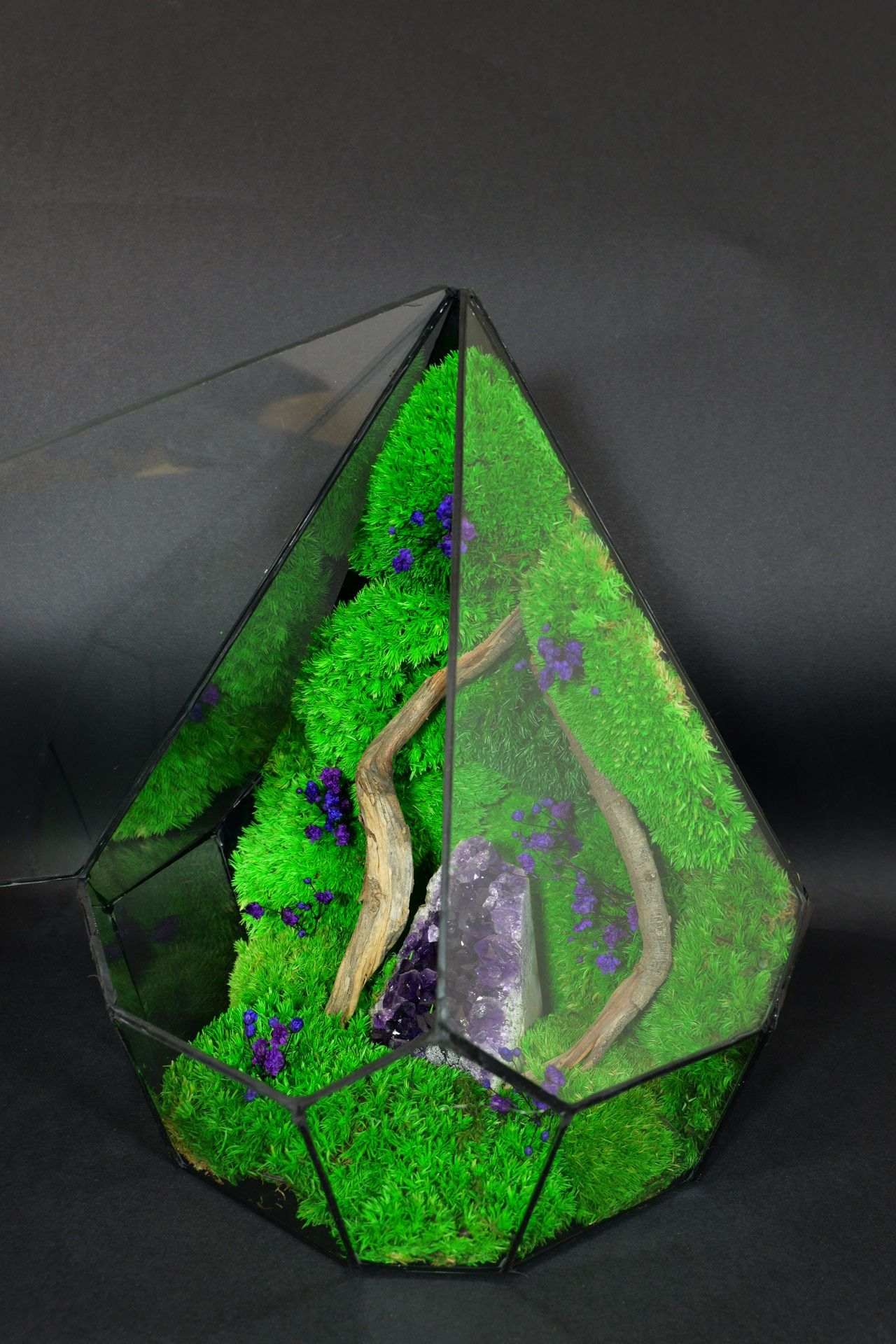 Giardino in Vetro Autosufficiente – Terrarium Handmade 44