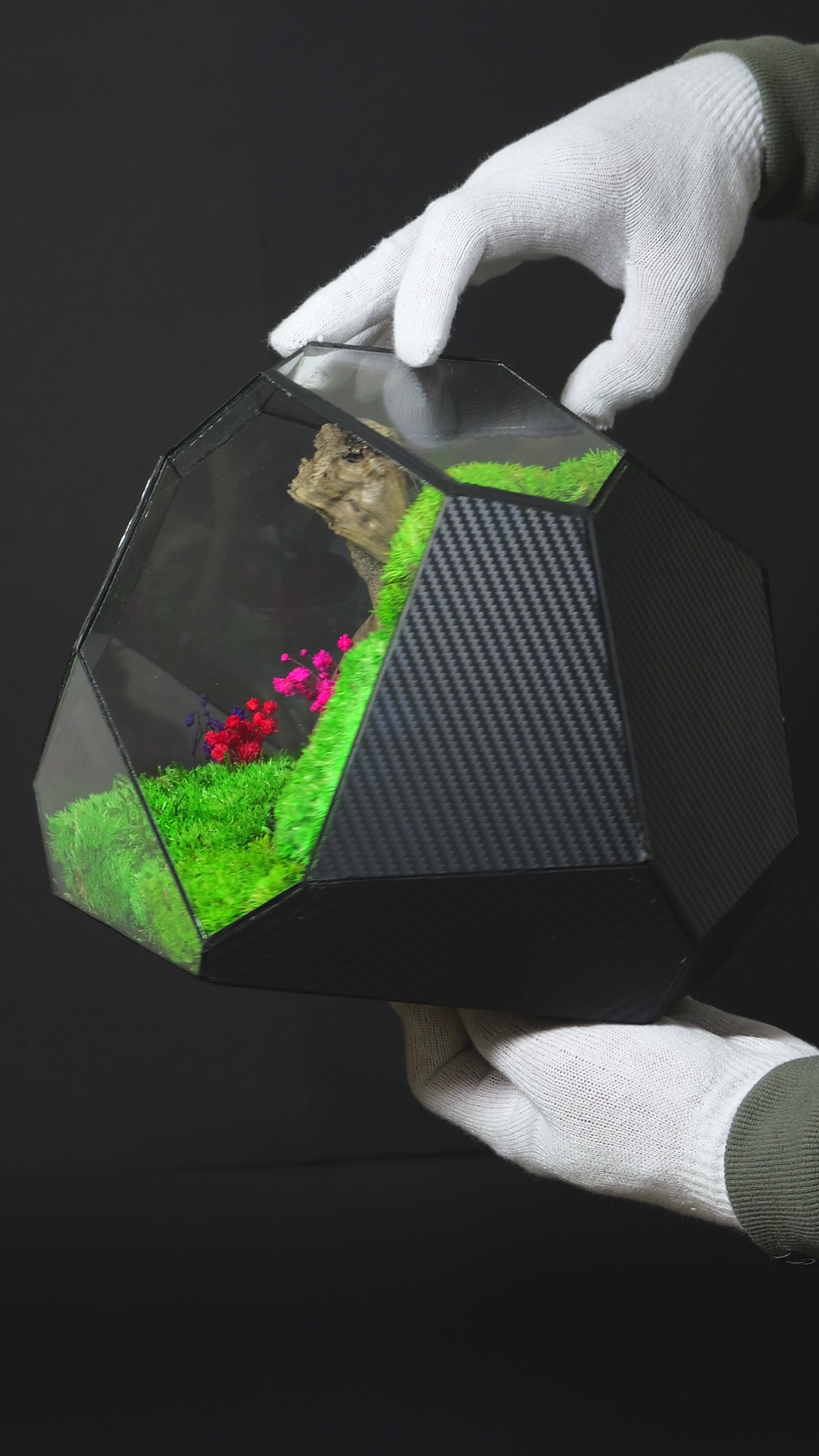 Terrarium ecosistemico autosostenibile decorativo per casa 24