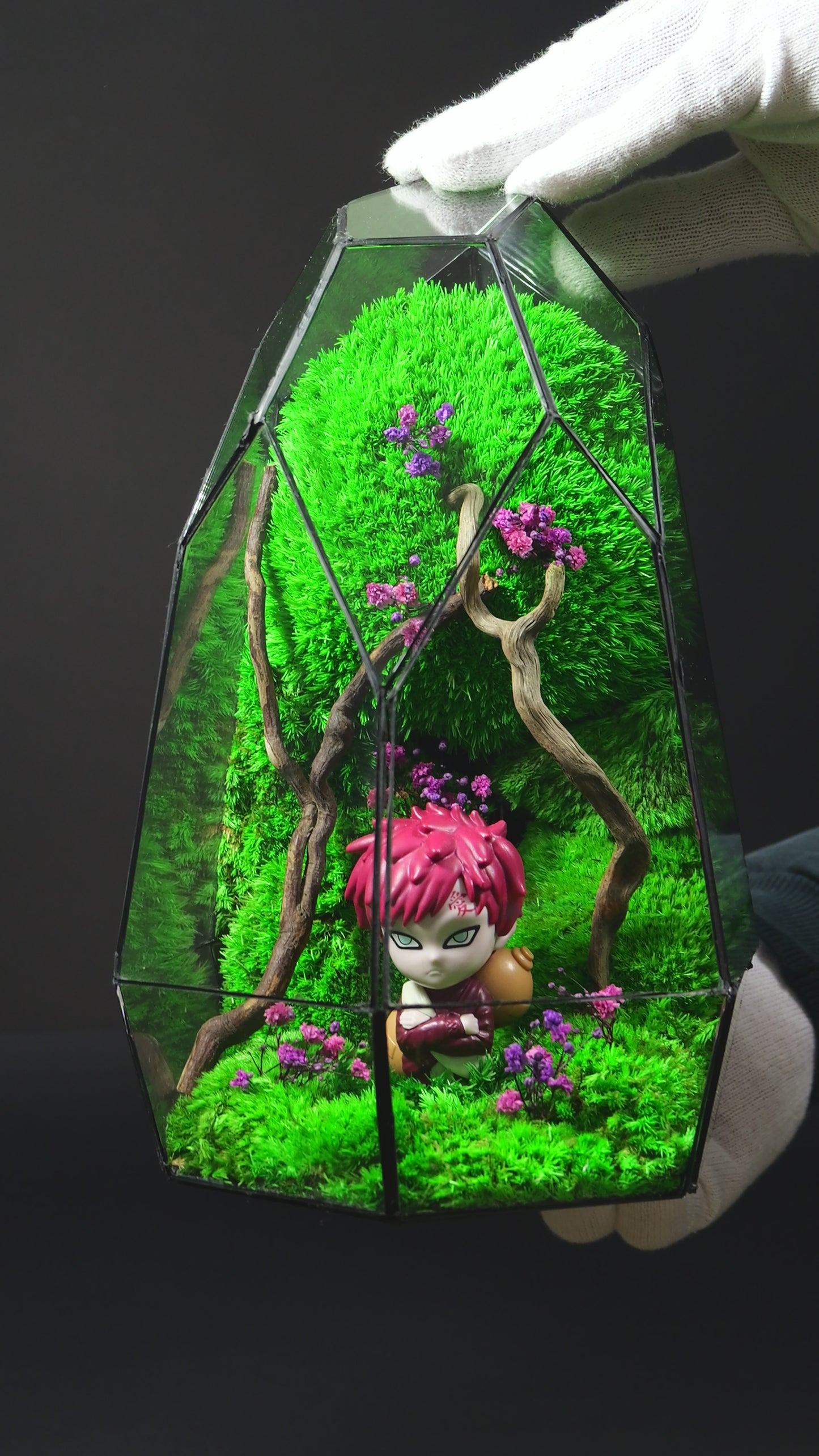 Terrarium 19 "Gaara"