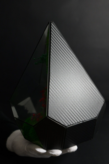 Terrarium 7