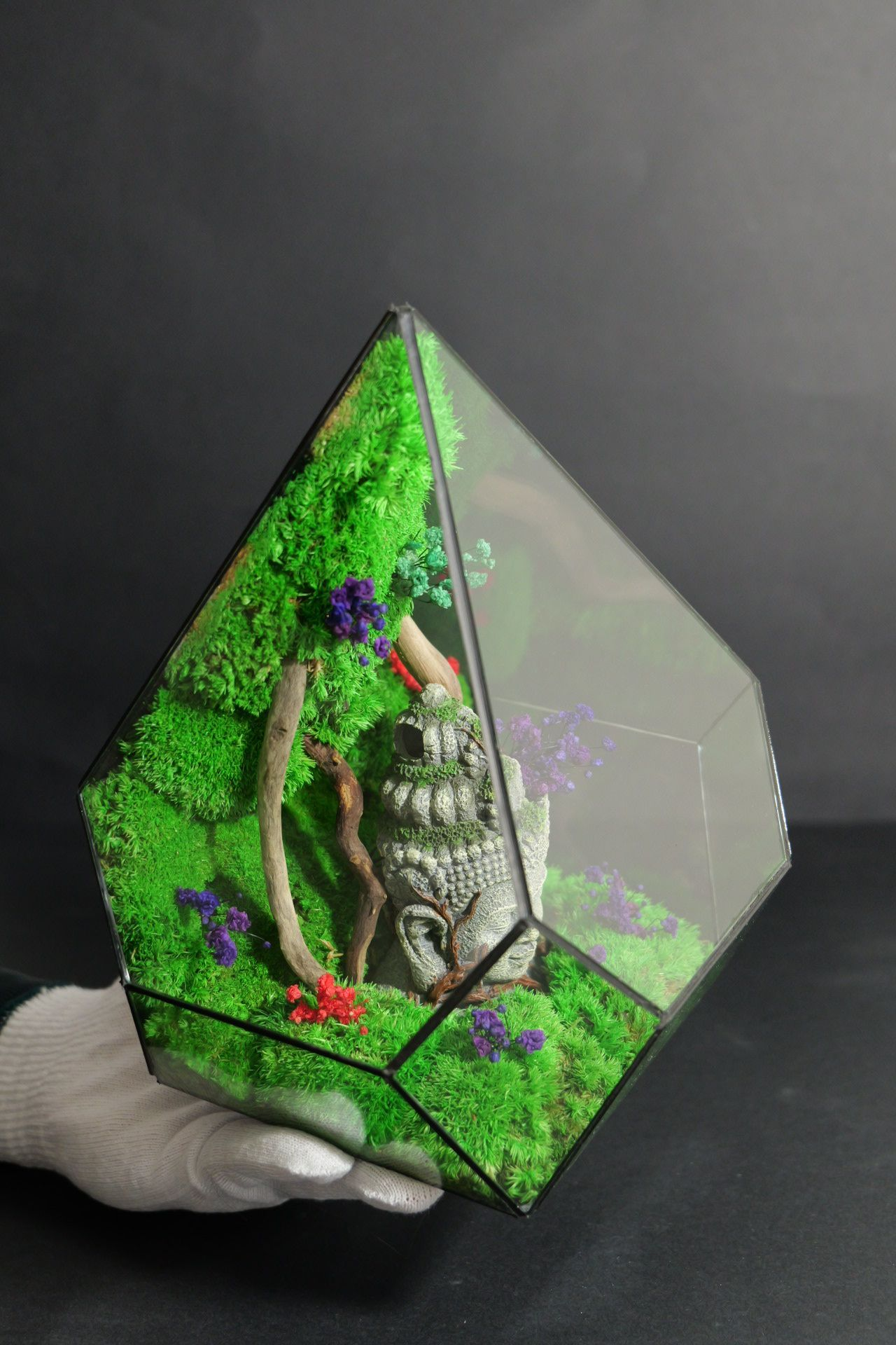 Terrarium 4