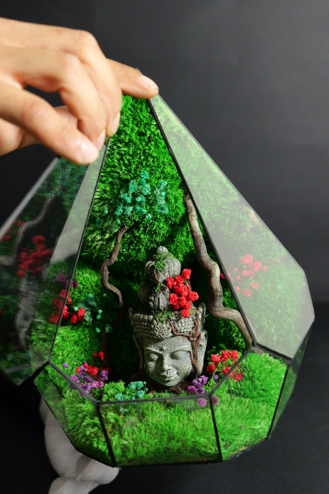 Terrarium 7