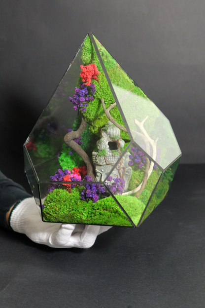 Terrarium 12