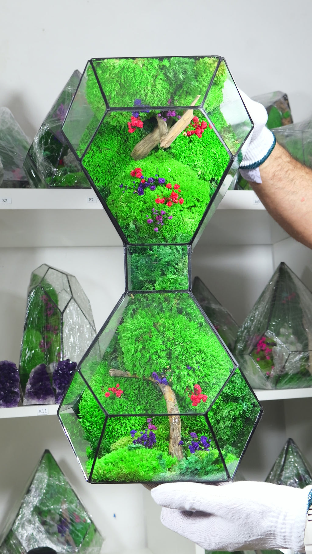 Terrarium in Vetro con Piante Naturali – Ecosistema Decorativo da Interno 50