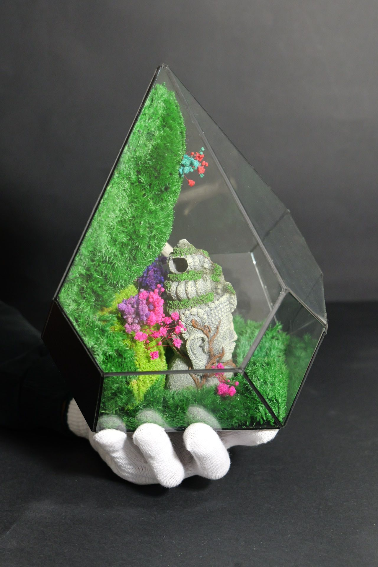 Terrarium 10