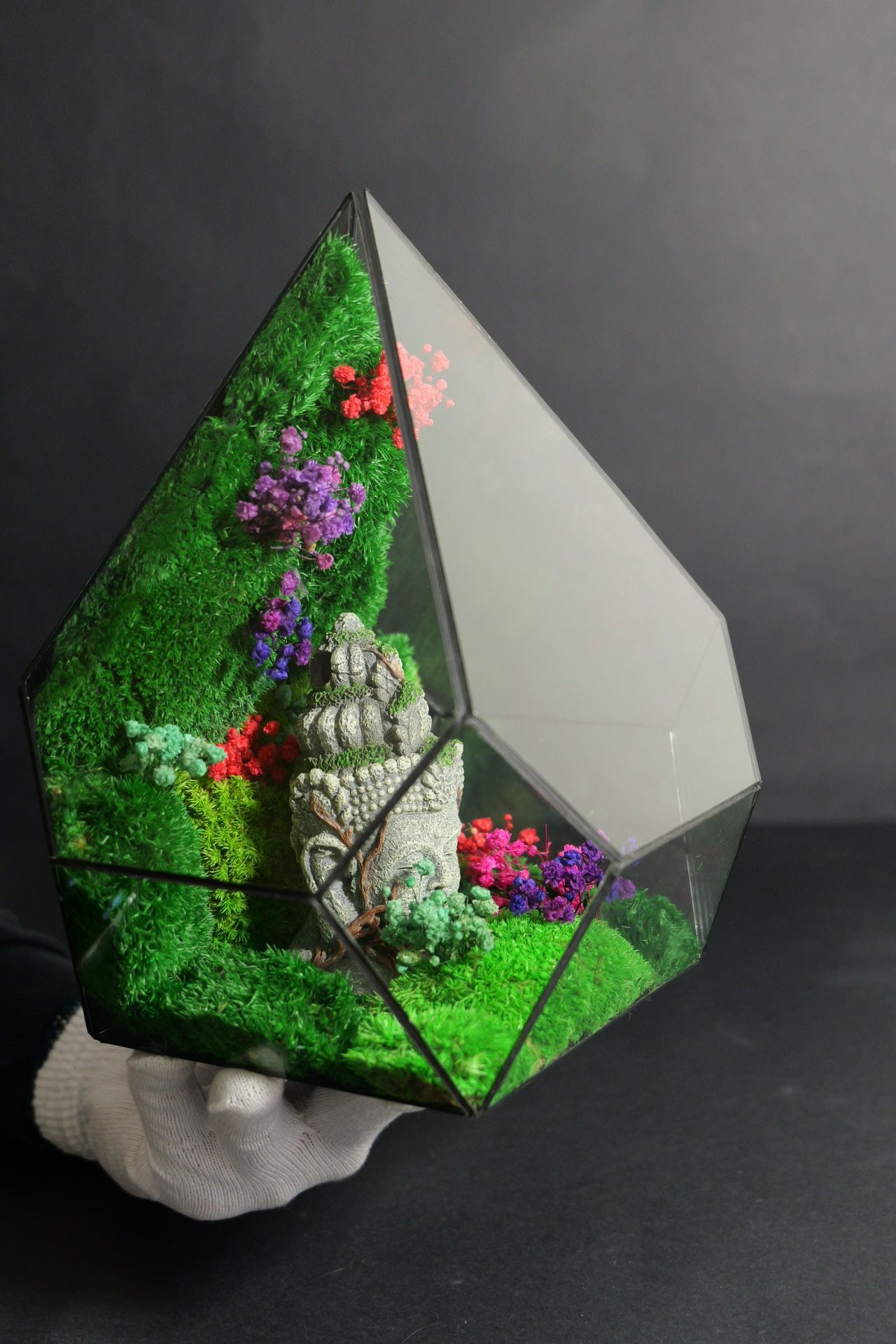 Terrarium 5