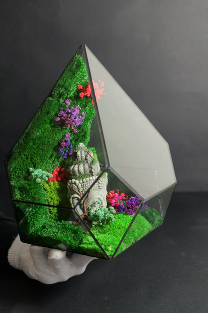 Terrarium 5