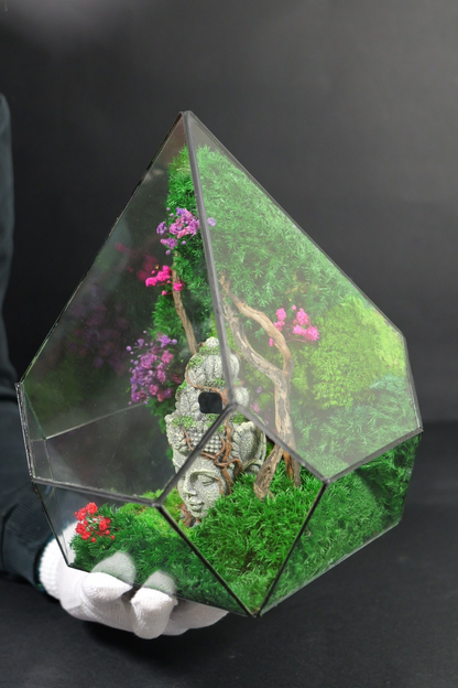 Terrarium 8