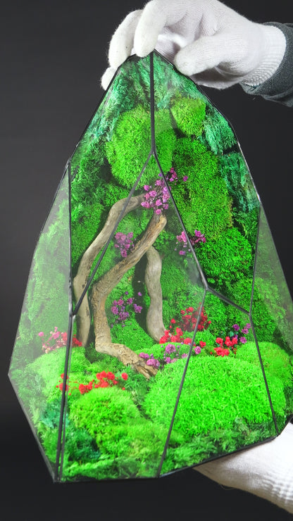 Terrarium 35 GIGANTE