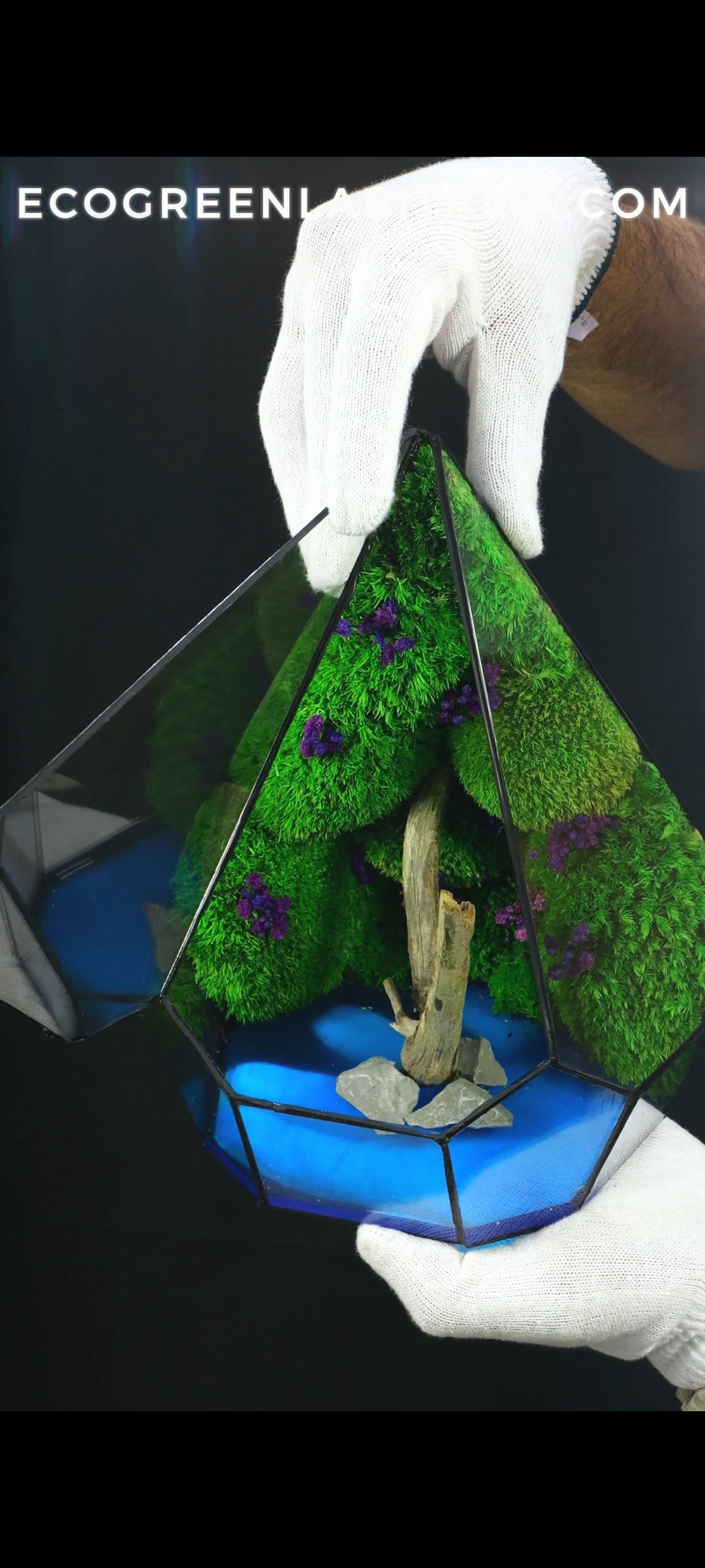 Terrarium fatto a mano lake N°57 Luminescente al buio da scrivania interior design