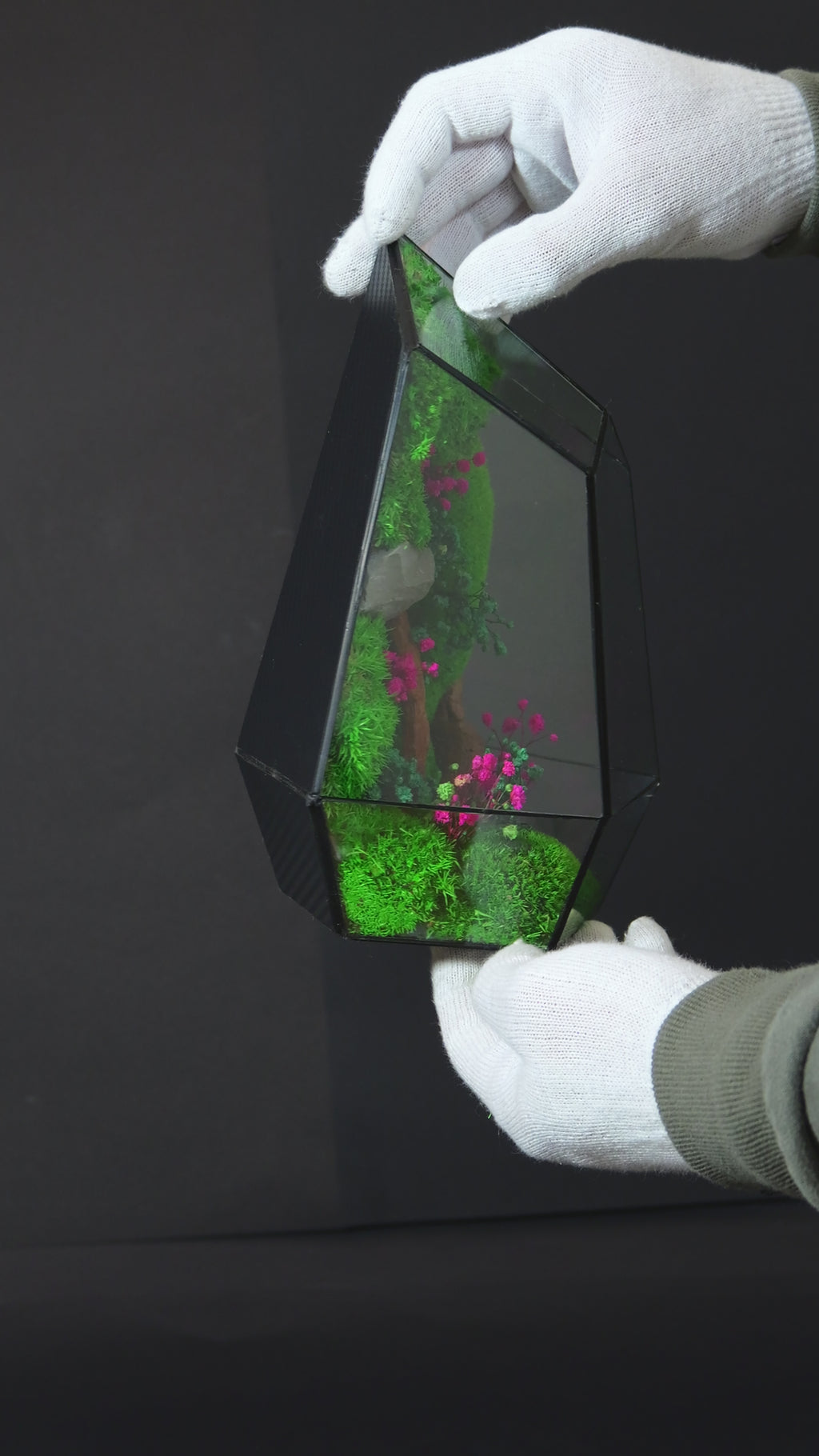 Terrario Decorativo Minimal – Ecosistema Naturale Autosufficiente 25