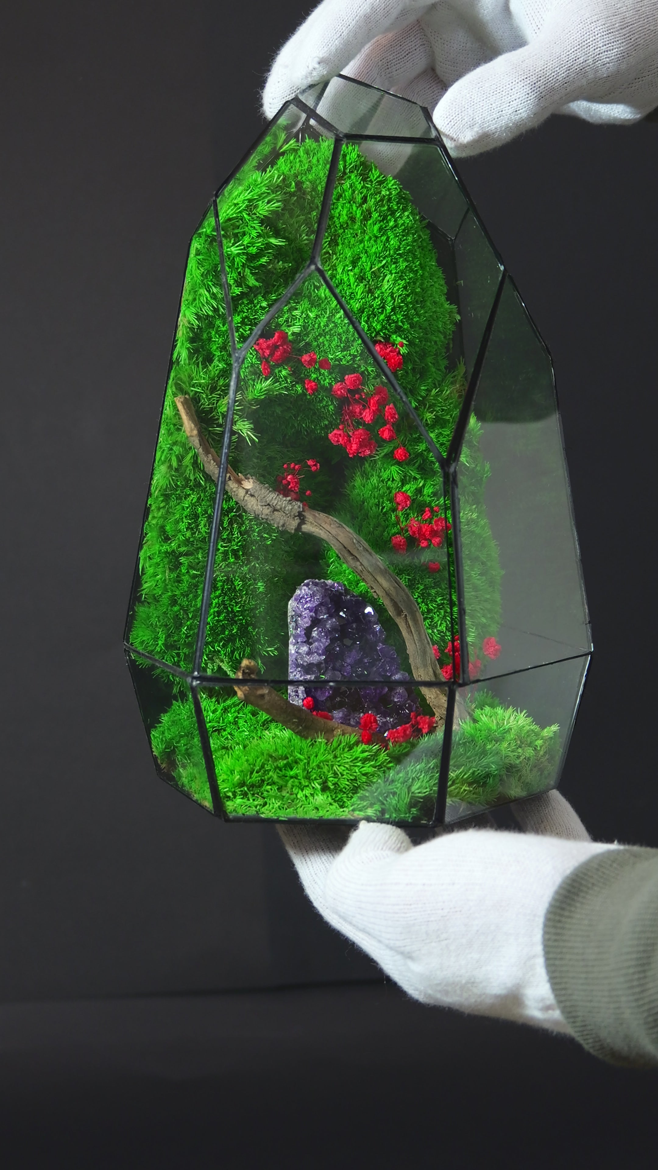 Terrarium Artigianale Premium – Idea Regalo Green Unica 26