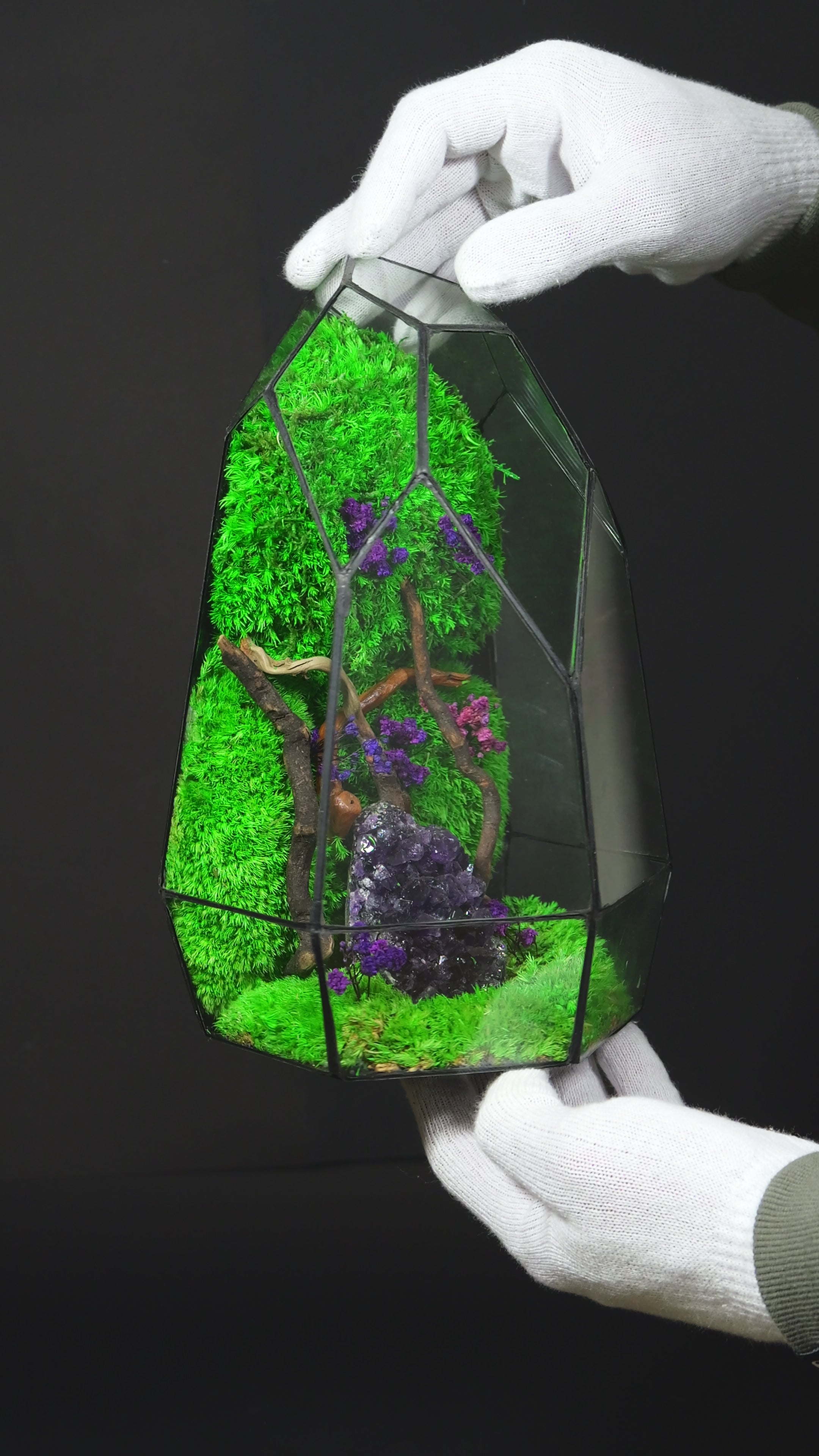 Terrarium Handmade in Vetro – Decorazione Botanica Moderna22