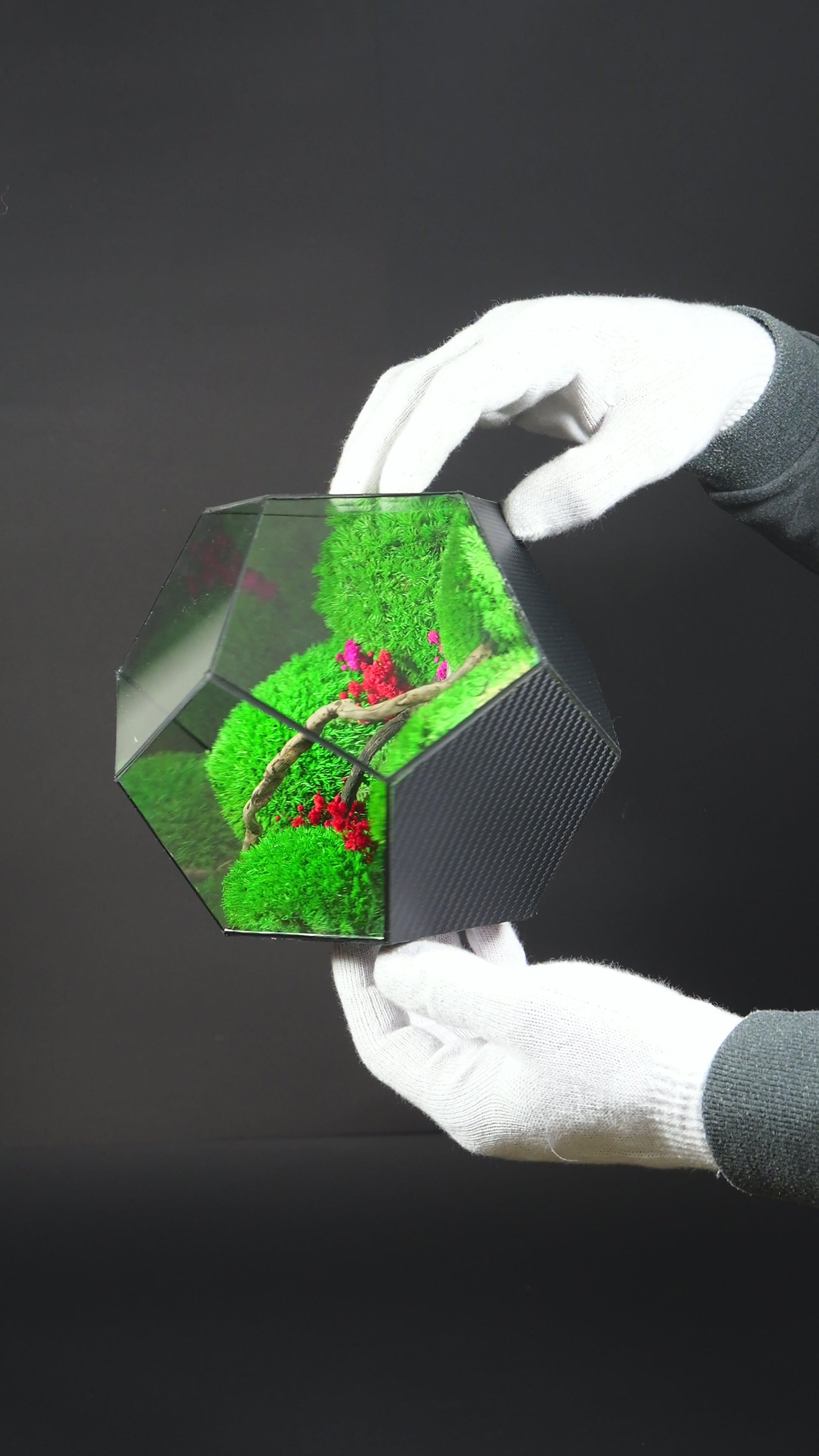 Terrarium Regalo Originale – Giardino in Miniatura in Vetro 31