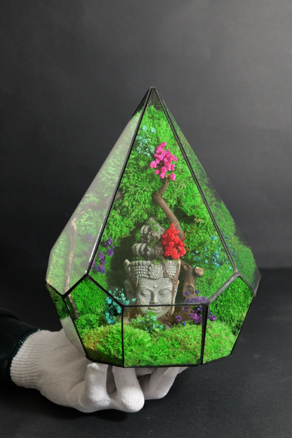 Terrarium 6